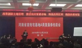郑州土拍价最新爆料,地王再现，区域价值再升级