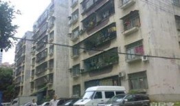 深圳吉星花园爆料最新消息,揭秘神秘事件真相揭晓
