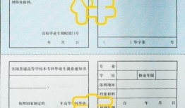 外网最新解包爆料详情,深度解析游戏内幕与功能更新