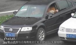 车窗抛物爆料视频大全最新,最新视频大全揭示惊人现象