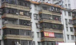 深圳吉星花园爆料最新消息,揭秘神秘事件真相揭晓